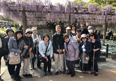 大正天皇が皇太子の頃、小田原御用邸にご来臨の際、この藤の花の下に召馬が駆け込み、花を散らしたので、皇太子は 、「見事な花に心なきことよ」と、しばらく馬を止めて感嘆されたため、その名がついたといわれています。