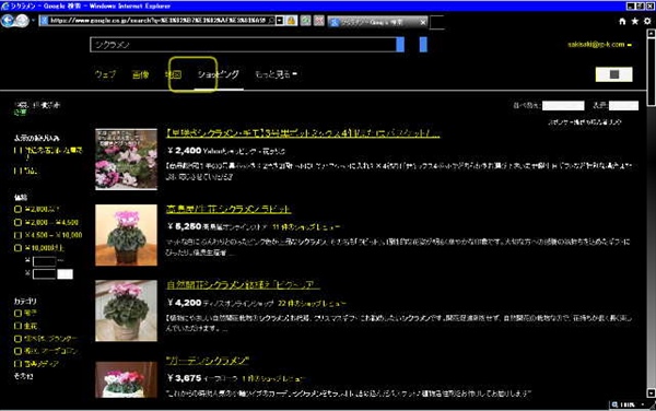 ショッピングの一覧が表示されたところ。